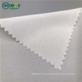 Chinese manufacturer best selling cheap 100% polyester double dot pa coating fusing fabric plain weaving woven interlining